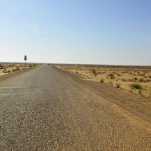 Sahara 50 1