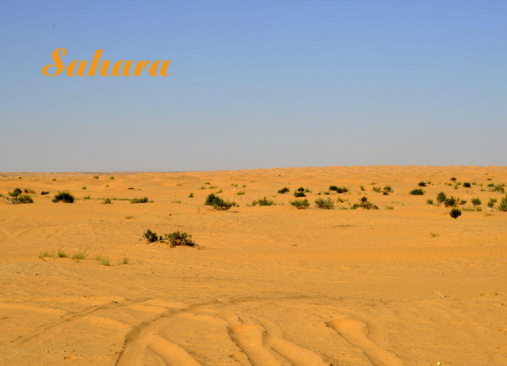 Sahara S 1