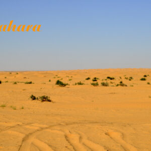 Sahara S 1