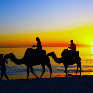 Strand C 1