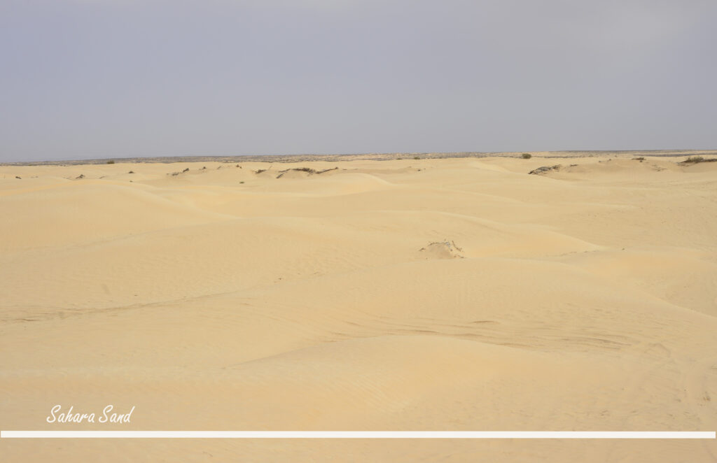 Sahara +
