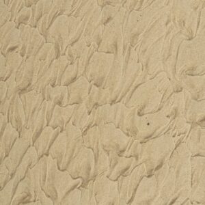 sandh1