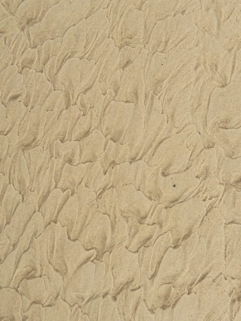sandh1